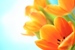 Персональная страница /i/users/avatar/4c5f53656c656e61.jpg