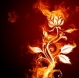 Персональная страница /i/users/avatar/4c656e6f6b5f31.jpg