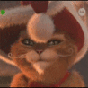 Персональная страница /i/users/avatar/4e656b7261.gif