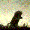 Персональная страница /i/users/avatar/5265766f6c.gif