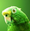 Персональная страница /i/users/avatar/656b6f6c6f677265656e.jpg