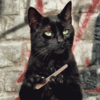 Персональная страница /i/users/avatar/7075686f766b61.gif