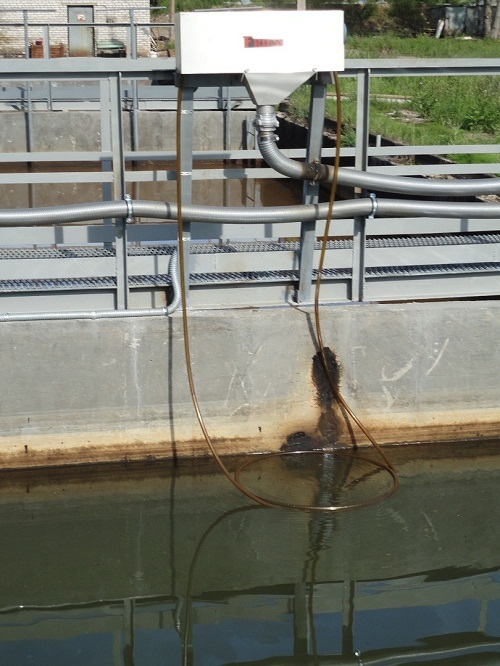 Oil_Skimmers